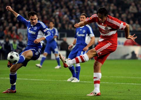 这要求谷爱 这要求谷爱